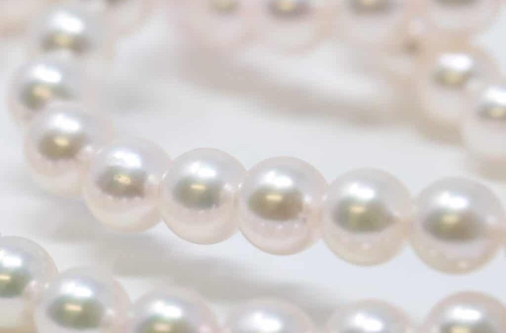 Long Akoya Pearl Necklace