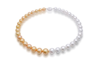 Gold White South Sea Pearl Choker Strand Necklace (N117)