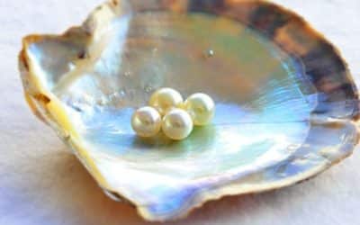 How the Right Pearl Jewelry Can Help Bring Out Your Best Side!