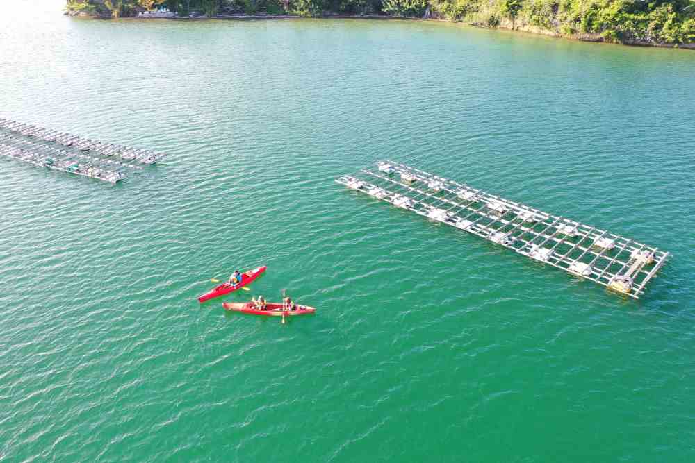 Ise Shima Pearl Farm 2