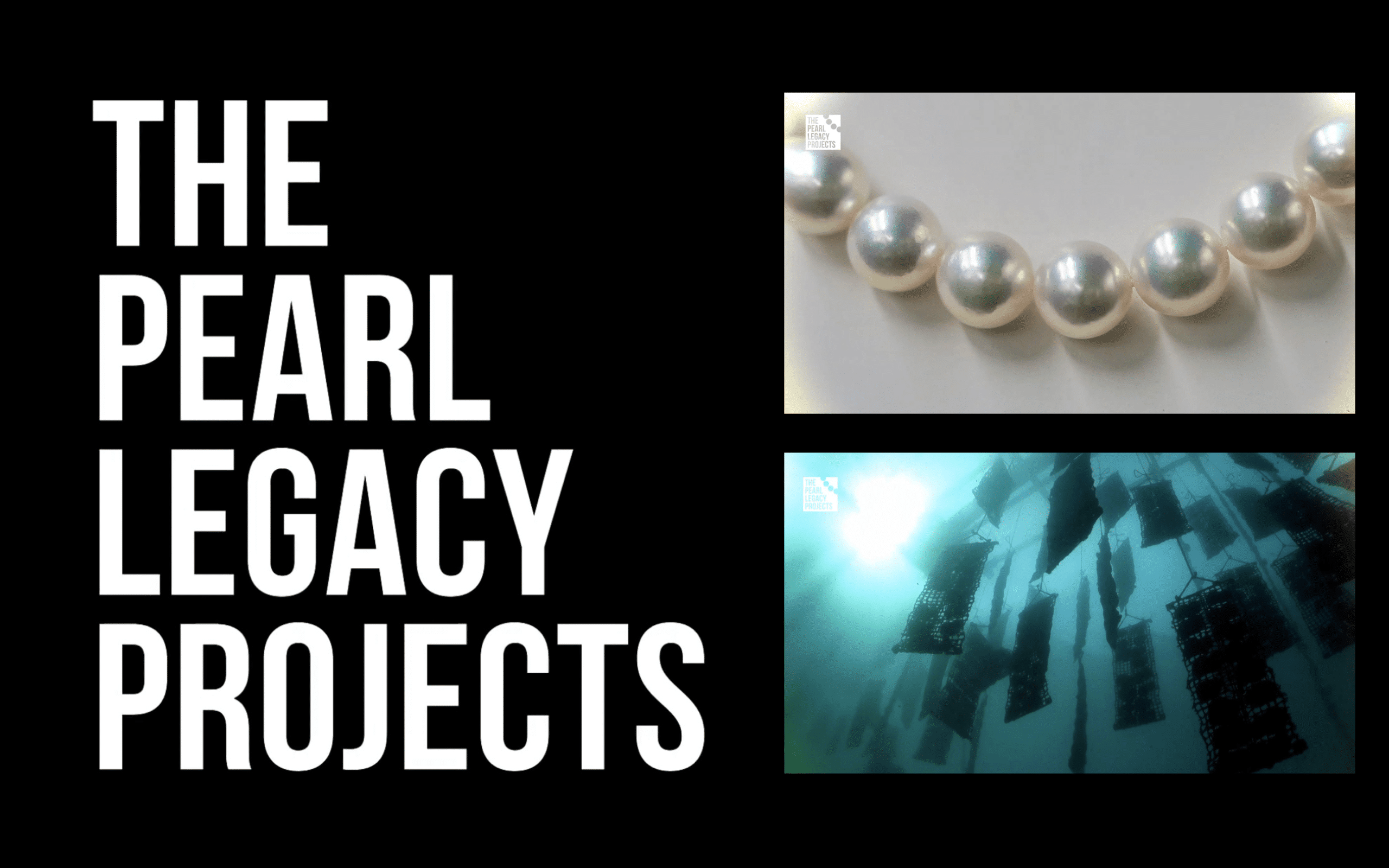 pearl legacy project