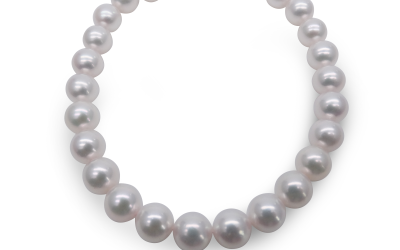 White Akoya Pearl Strand Bracelet (BL63)